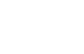 Thankful Dog Grisi Pet Care, Toallitas de Limpieza Limpieza de Pelaje y  patitas, 100 Piezas : : Productos para animales