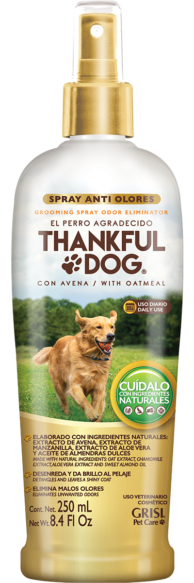 Thankful Dog Grisi Pet Care, Toallitas de Limpieza Limpieza de Pelaje y  patitas, 100 Piezas : : Productos para animales